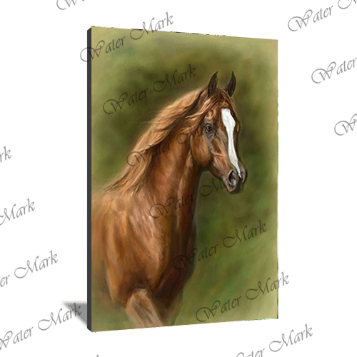 Animals Horse Portrait-103