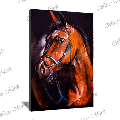 Animals Horse Portrait-104