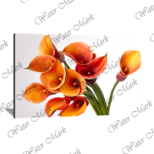 Floral Orange Landscape104 - Photo Block Plus