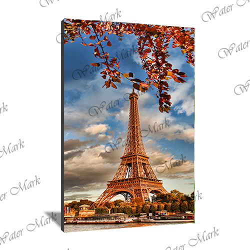 France Eiffel Tower Portrait-102