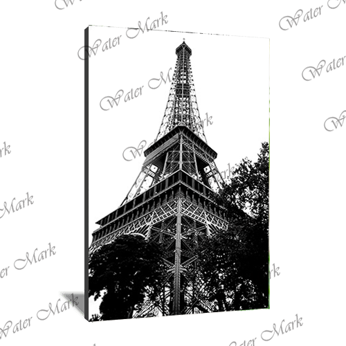 France Eiffel Tower Portrait-103