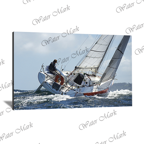 Sailing Landscape-104